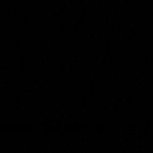 Meet your Posher, Elvia